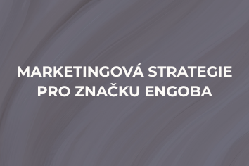Marketingová strategie a analýza trhu