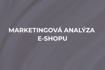 Marketingová analýza e-shopu